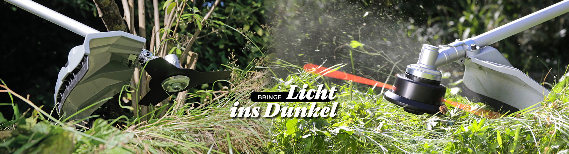 zwei Freischneider einer mit Spule und der andere mit Faden mähen dichtes Gras und Gestrüpp